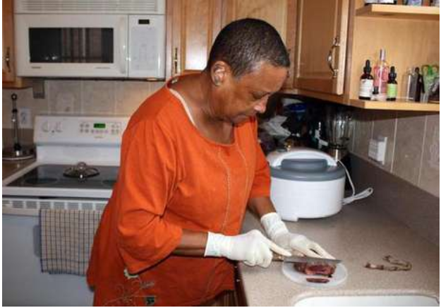 Comer placenta vira moda entre mulheres que buscam alimentação saudável