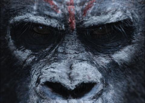 Trailer de Planeta dos Macacos: O Despertar é divulgado