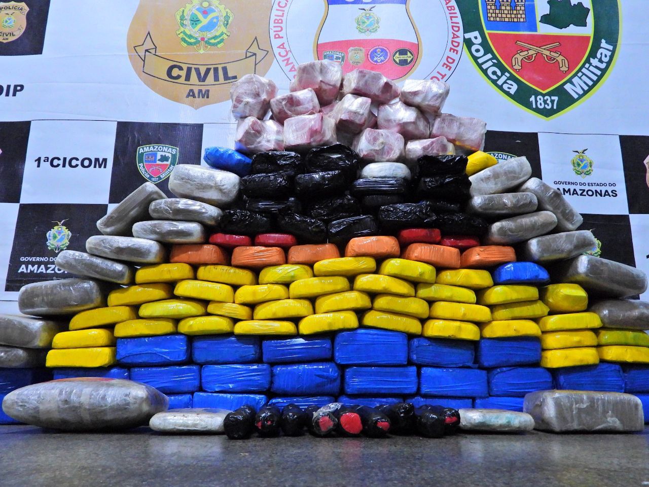 Em 10 meses, polícia apreendeu mais de 600 kg de drogas em Manaus