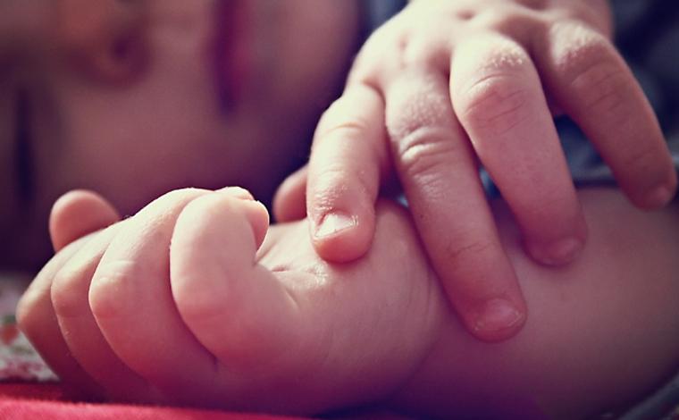 Câmara aprova projeto que aumenta as penas por maus-tratos e abandono