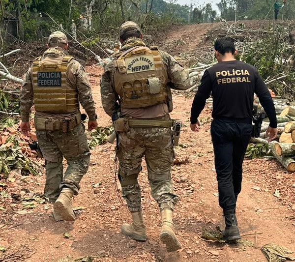 Homem é preso pela PF por transporte de madeira ilegal no Amazonas