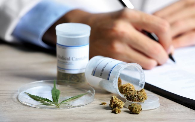 Anvisa libera dois produtos à base de cannabis para venda