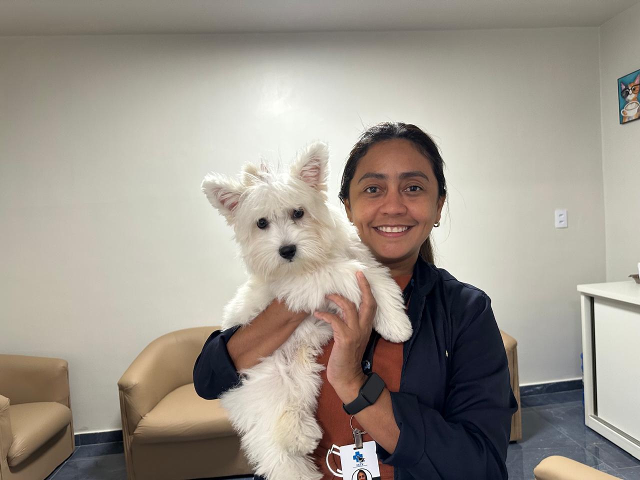 Saiba dicas de como cuidar dos pets durante as festas de fim de ano