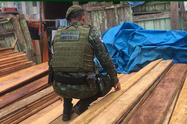 Polícia apreende 12m³ de madeira ilegal em depósito clandestino em Manaus