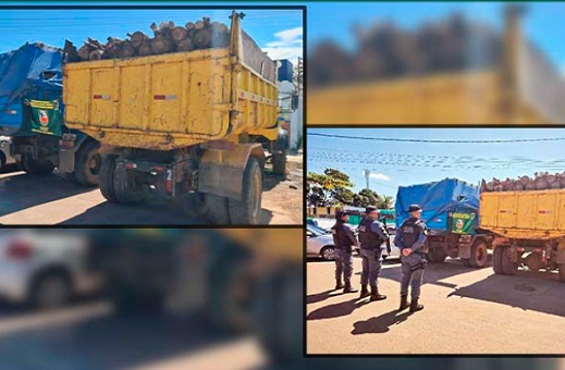 Dois homens são presos por transporte de madeira ilegal na AM-070