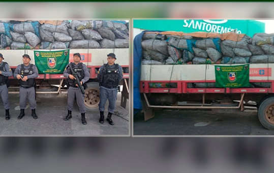 Motorista é preso ao transportar 42 metros de carvão ilegal na AM-070