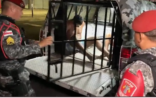 Polícia rastreia moto roubada e descobre oficina de desmanche em Manaus