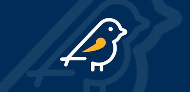 Saiba como denunciar irregularidades eleitorais usando o app Pardal