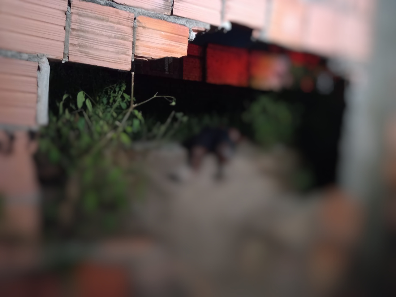 Jurado de morte, homem é assassinado a terçadadas em Manaus