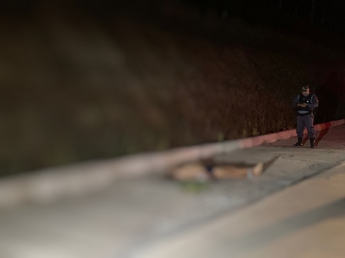 Jovem é sequestrado e executado com tiros na cabeça na Avenida Margarita