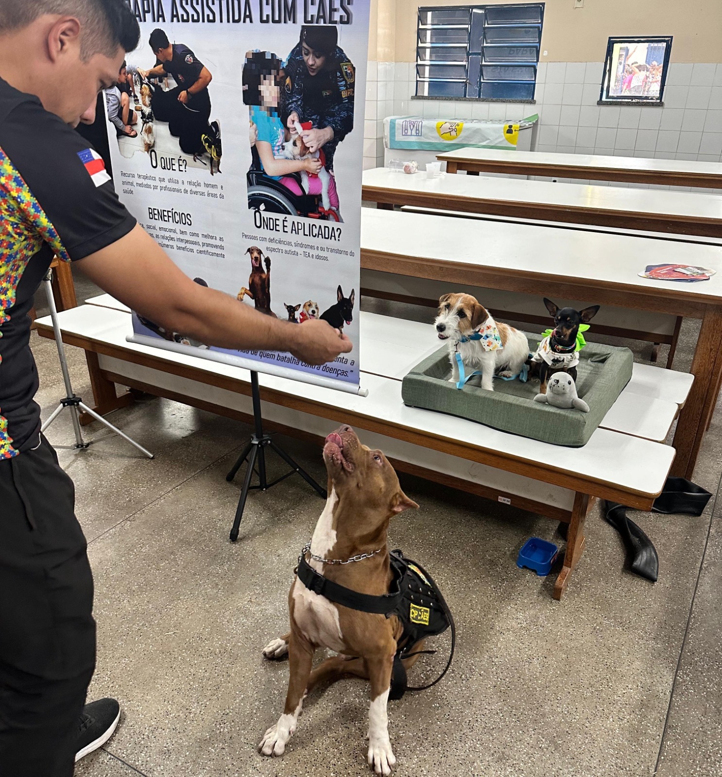 Veja lista de crianças selecionadas para conhecer CIPcães em Manaus