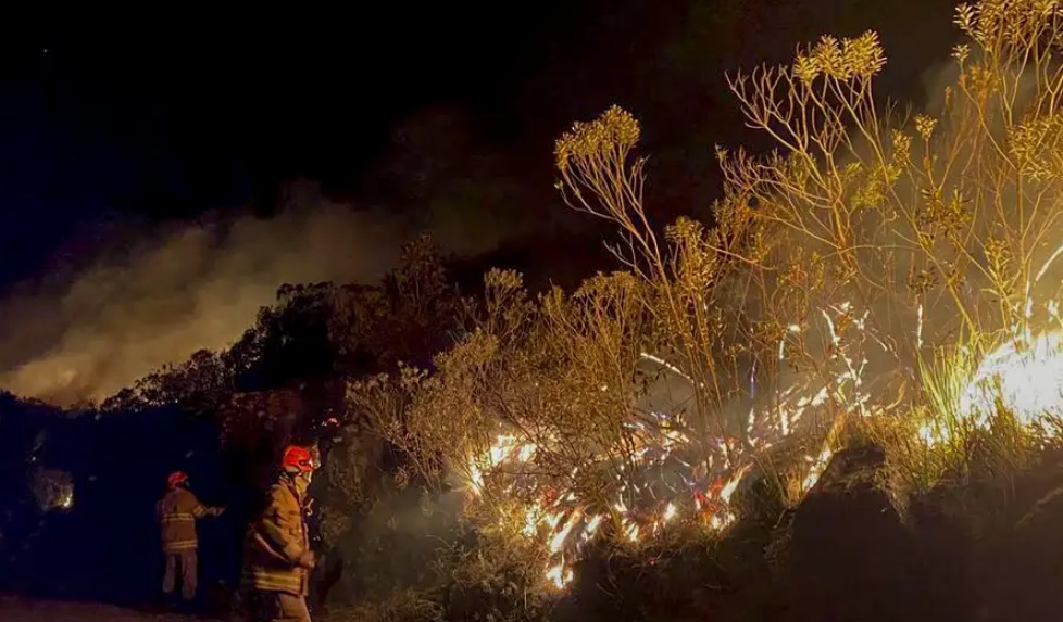Delegado da PF diz que há indícios de ação coordenada em incêndios