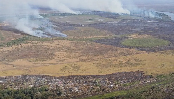 Amazonas bate recorde por emissão de gases por incêndios