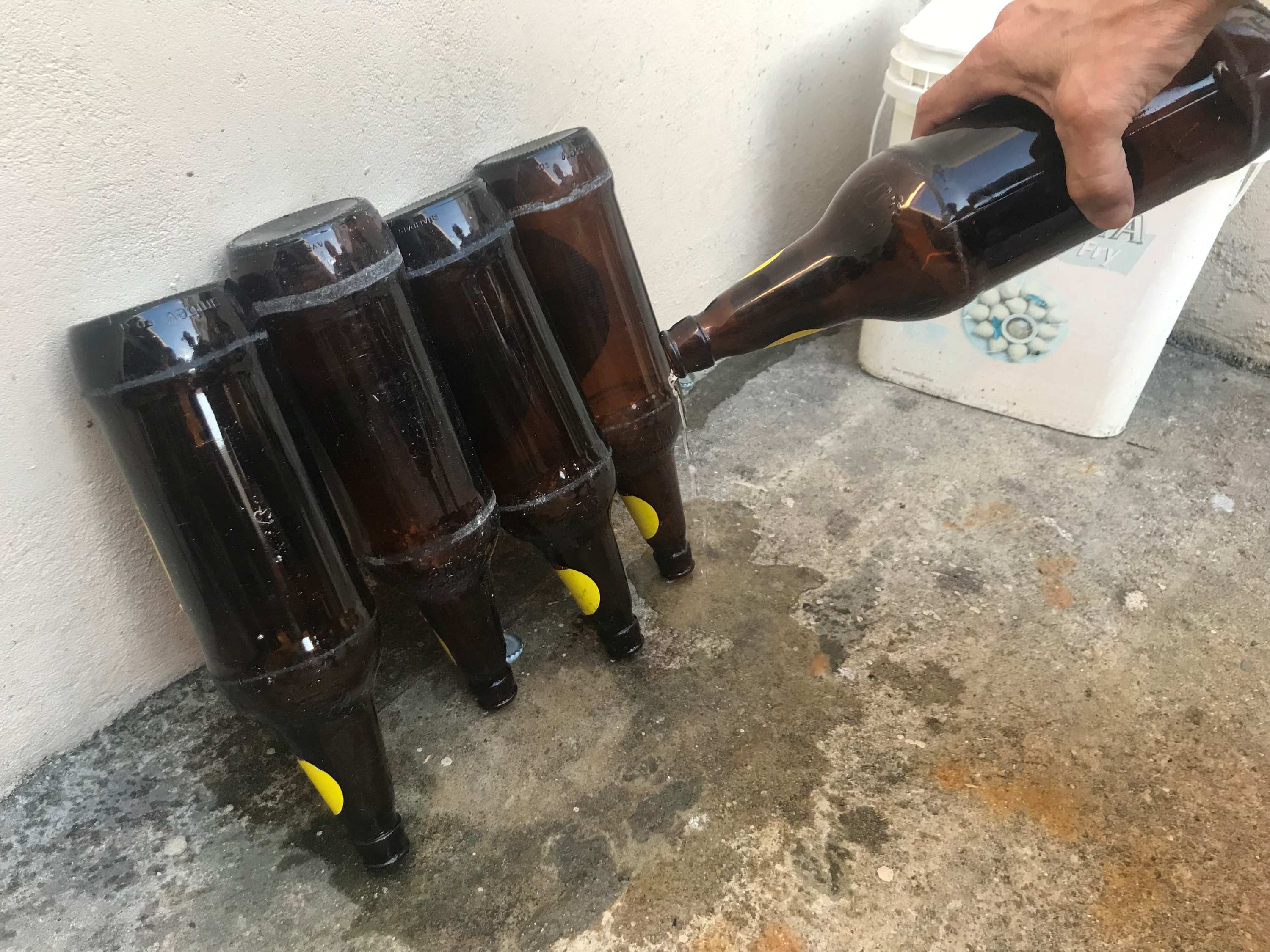 Amazonas registra mais de 6 mil casos de dengue