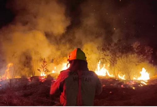 Amazonas registrou 19,9 mil focos de incêndio desde junho deste ano
