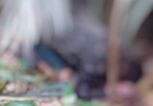 Ajoelhado, homem é encontrado morto no Ramal Água Branca