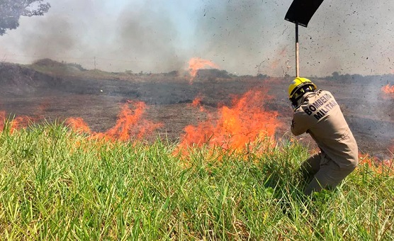 Sobe para 20,7 mil focos de incêndio registrados no Amazonas