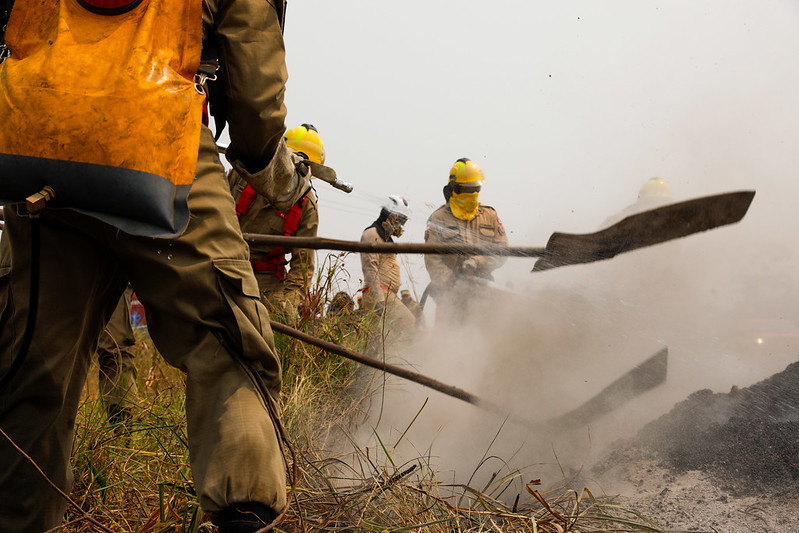Amazonas registra mais de 21,3 mil focos de incêndio