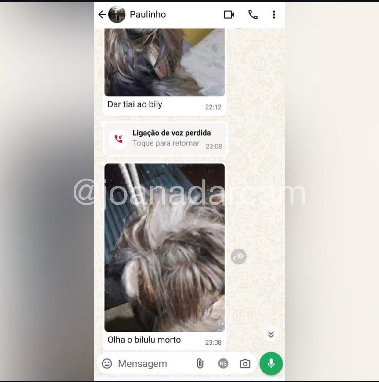 Homem manda foto para ex após matar cachorro dela enforcado em Tefé