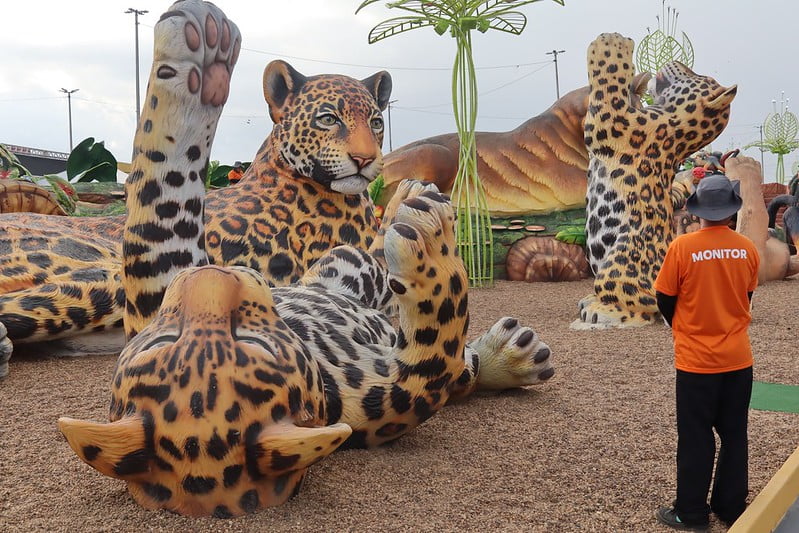 Parque Gigantes da Floresta já recebeu mais de 2 milhões de visitantes