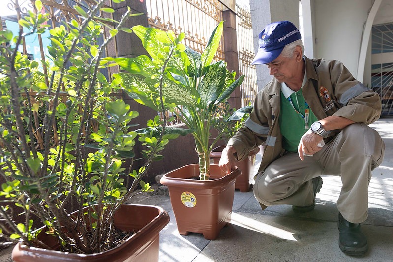Mais de 10 bairros de Manaus apresentam alto risco para Aedes aegypti