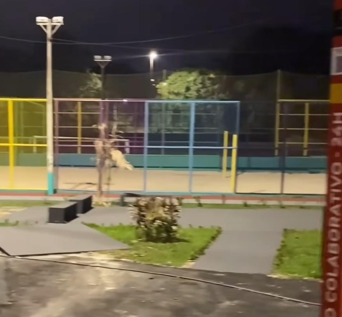 Campo do Núcleo 16 será entregue revitalizado neste domingo na Cidade Nova