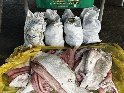 Polícia apreende mais de 500 kg de pescado irregular em Coari