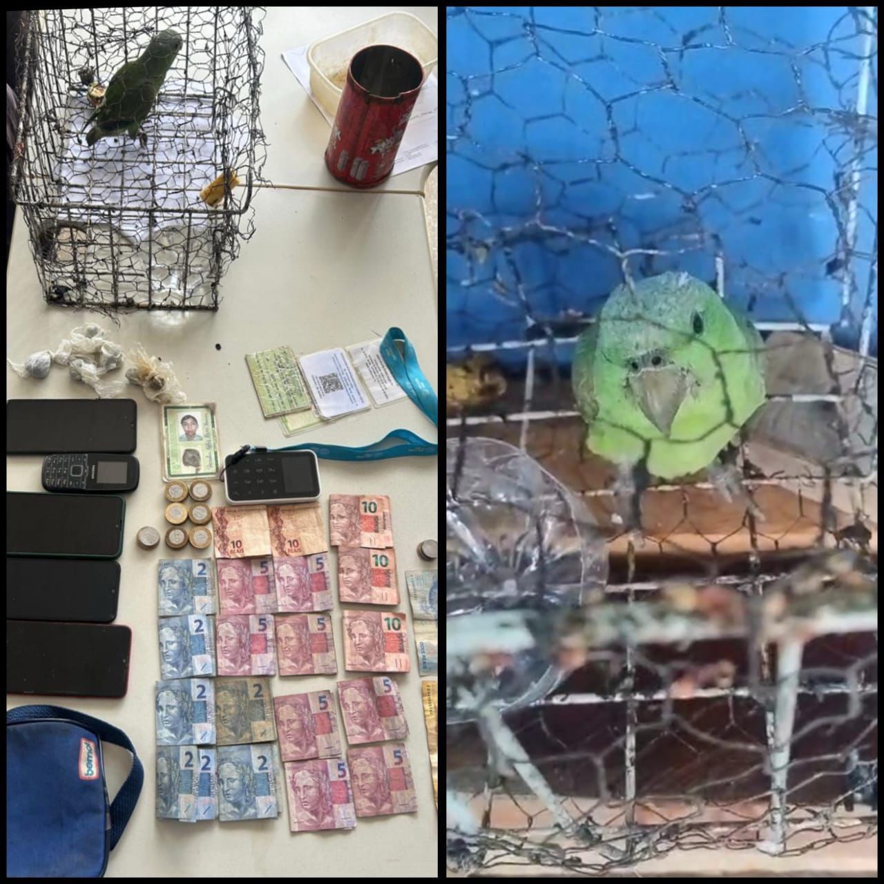 Três pessoas são presas por tráfico de drogas e maus-tratos a animais em Urucurituba