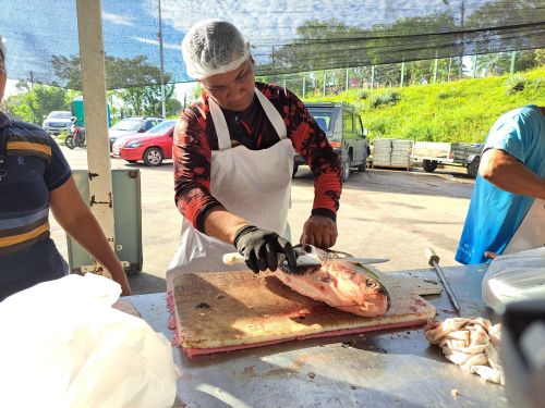 Feirão do Pescado: mais de 12 toneladas de peixes são vendidas no 2º dia
