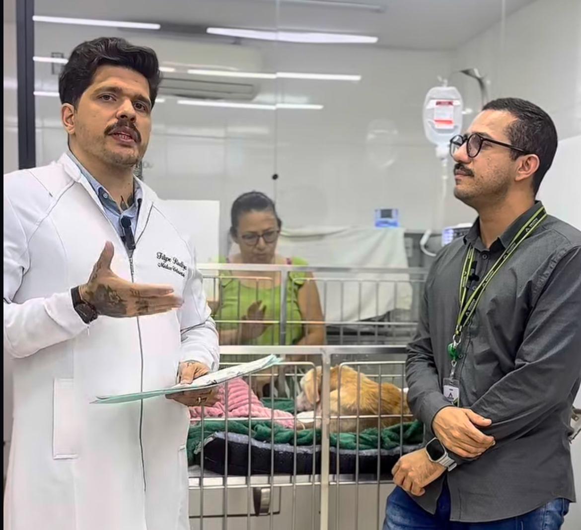 Madonna, cadela atropelada por funcionário, terá tratamento pago pela Amazonas Energia