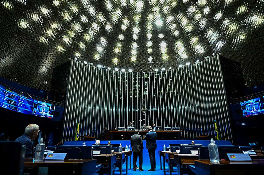 Senado aprova PL que proíbe tatuagens e piercings em cães e gatos