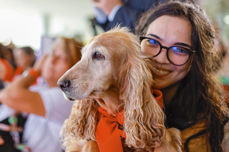 Sinpatinhas: mais de 620 mil animais já têm RG no Brasil
