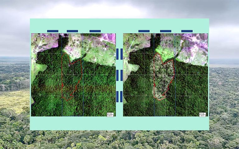 BNDES barra R$ 806 milhões em créditos que iriam a desmatadores ilegais