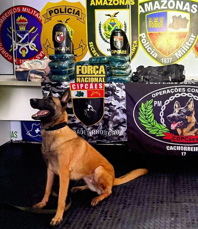 Polícia apreende 19 kg de drogas em lixeira de barco em Coari