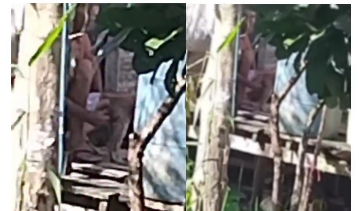 Homem é suspeito de estuprar cadela em Tefé