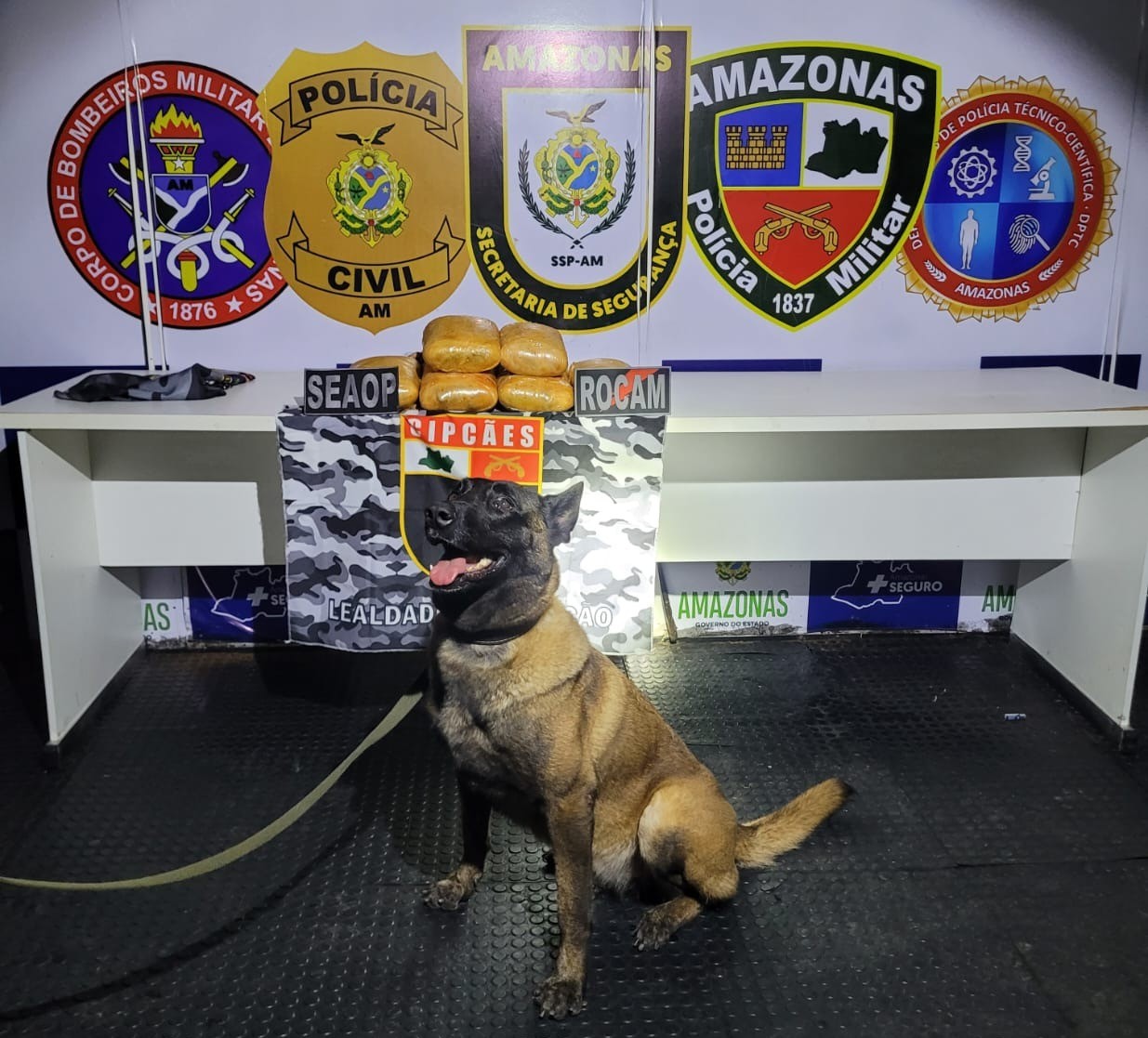 Mulher é presa com 12kg de drogas escondidos em mala em Coari