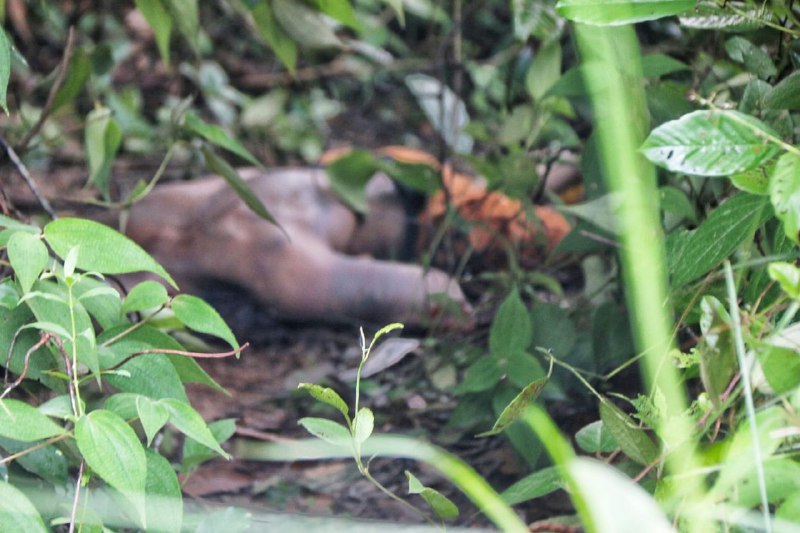 Corpo de homem é encontrado com marcas de agressão física em Manaus