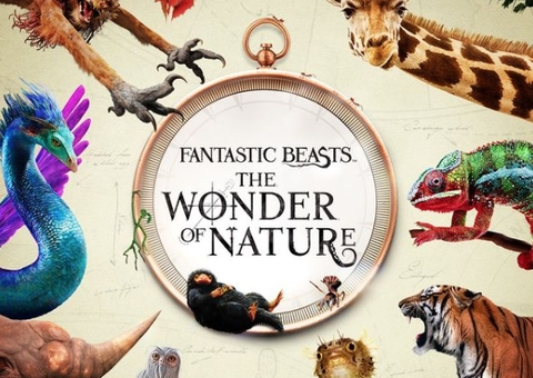 Animais Fantásticos é tema de grande exposição virtual; confira