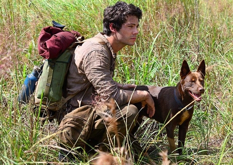 'Love and Monsters' mistura THD e Resident Evil em trailer