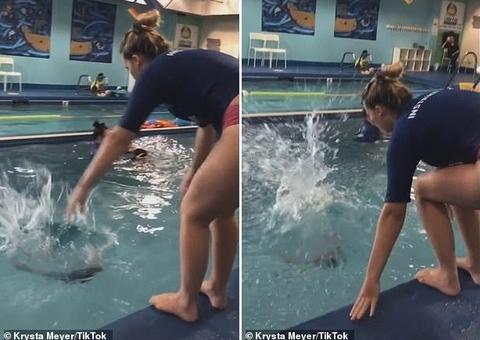 Bebê jogado em piscina causa revolta na web