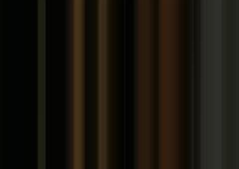 Pai e filho que desapareceram ao sair para caçar são encontrados no Amazonas