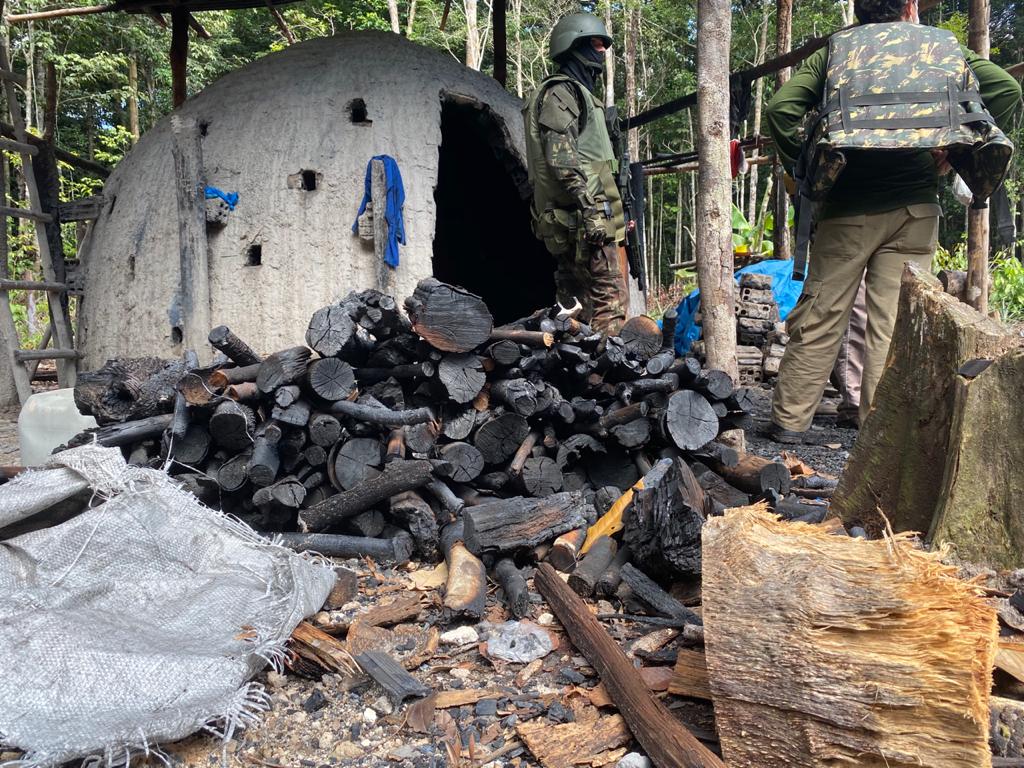 Irmãos são presos por crime ambiental em terra indígena no Amazonas  