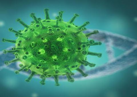 Amazonas ultrapassa a marca dos 69 mil casos de Covid-19