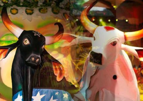 Em live, Caprichoso e Garantido se apresentam no Festival de Parintins