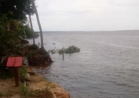Moradores acham corpos boiando em rio no Amazonas e morte chocante é descoberta