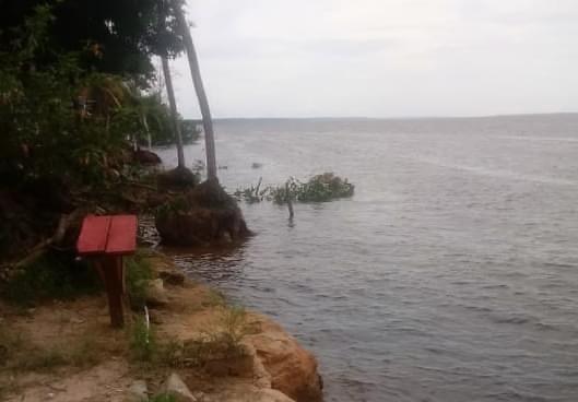 Moradores acham corpos boiando em rio no Amazonas e morte chocante é descoberta