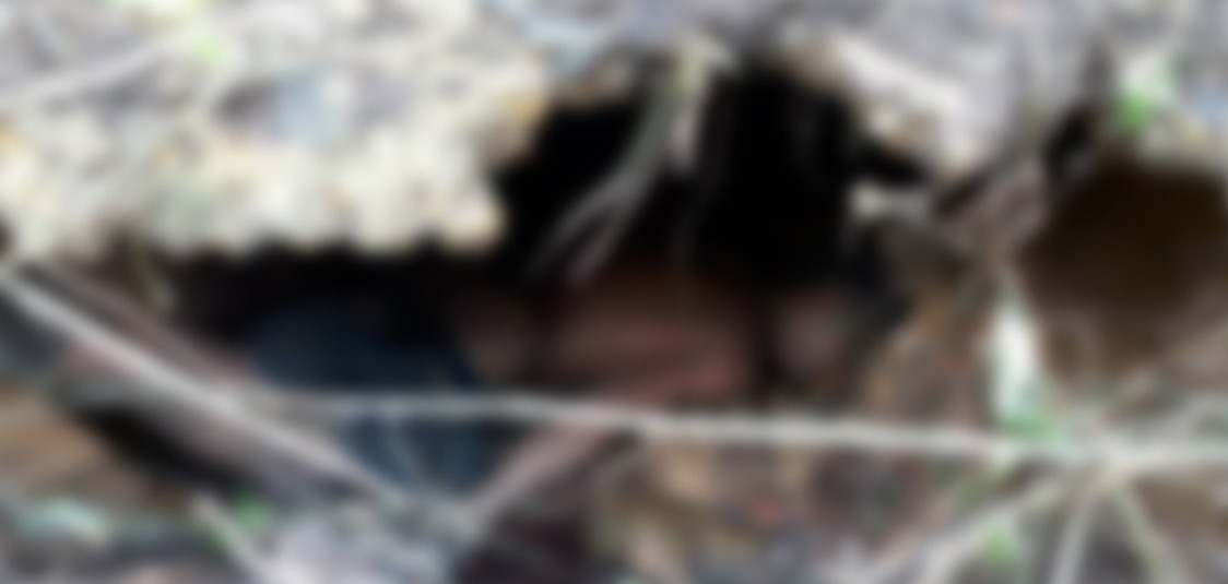 Homem é encontrado morto dentro de fossa no Amazonas