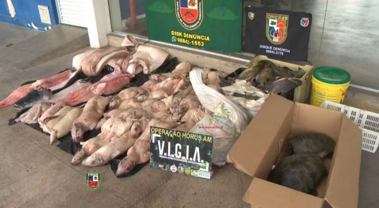 Trio é preso e embarcação com pescado e animais silvestre é apreendida em Manaus 