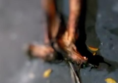 Em vídeo, homem que desenterrou avó em Manaus revela o que iria fazer com cadáver