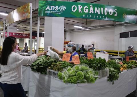 Feira de produtos regionais volta a ser realizada na Cidade Nova